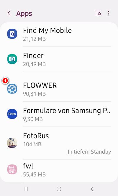 Appstart_Fehler_3_4_auswahl_flowwer.jpg